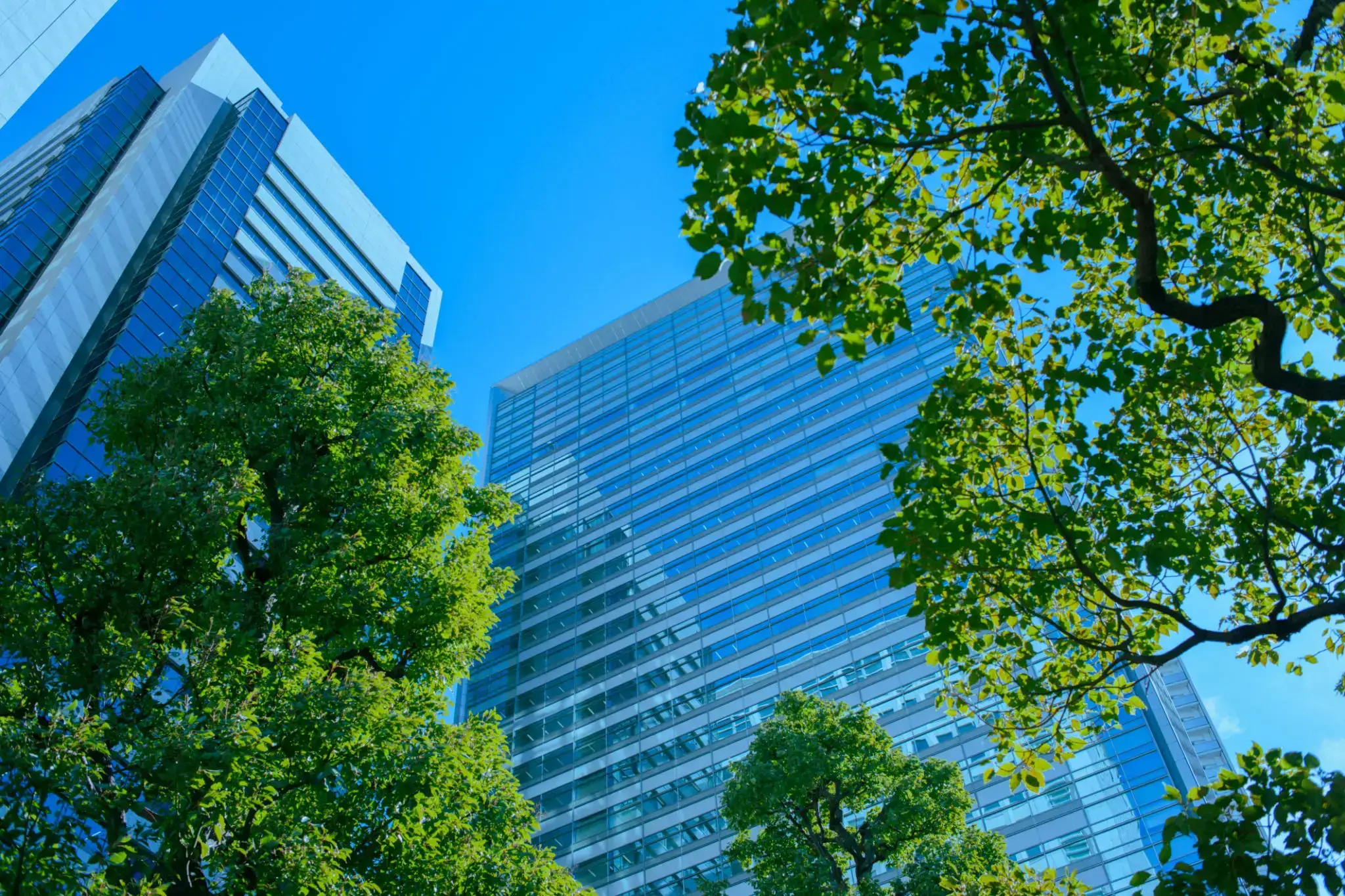 Skyscrapers and trees under a clear sky.